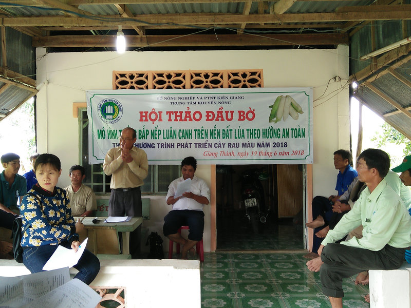 hoi thao bap (3).jpg